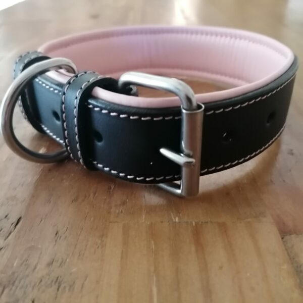 Leather Dog Collars