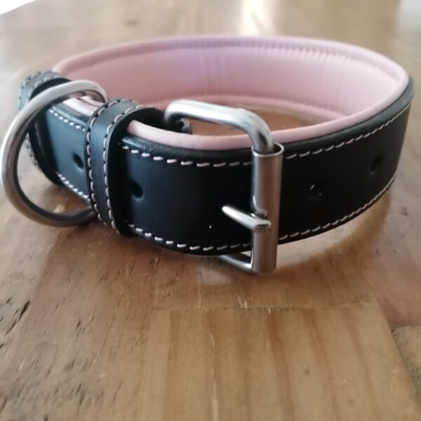 leather dog collars