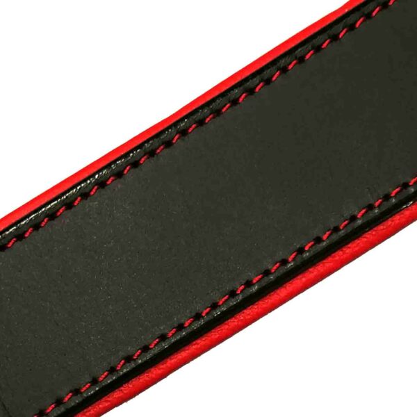 Leather Dog Collars Black and Red