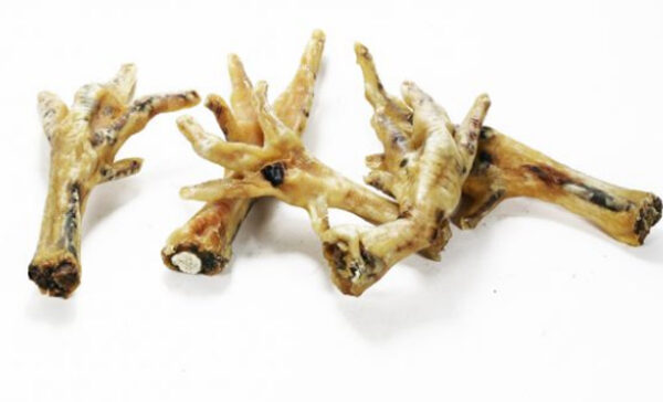 Chicken feet for dogs