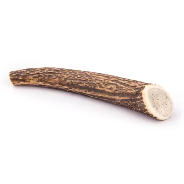 Whole antler for dogs large