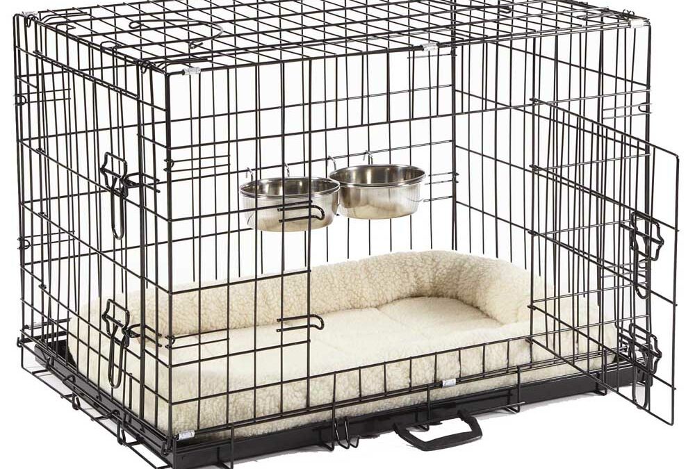 Crate Training A Puppy